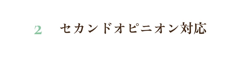 2. セカンドオピニオン対応